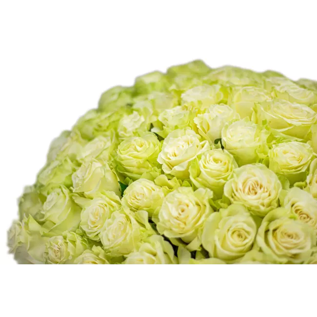 Bouquet of white roses